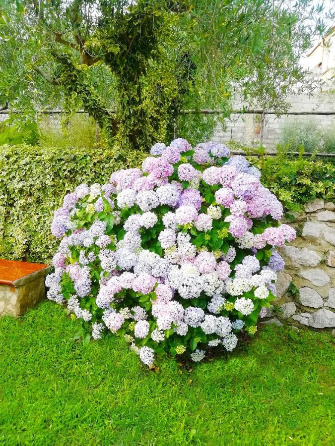 Avella B&B Maison Villa Vittorio المظهر الخارجي الصورة